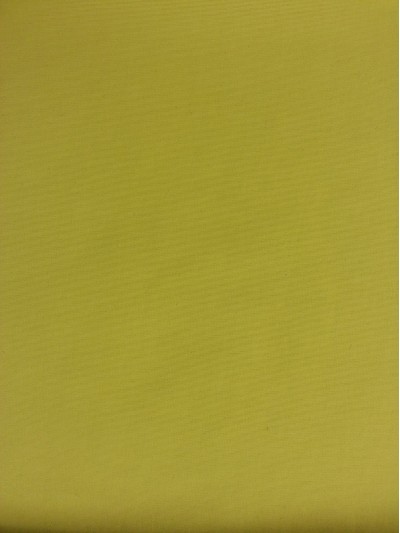 JS ZOYG  消光尼龍塔絲隆 正面照